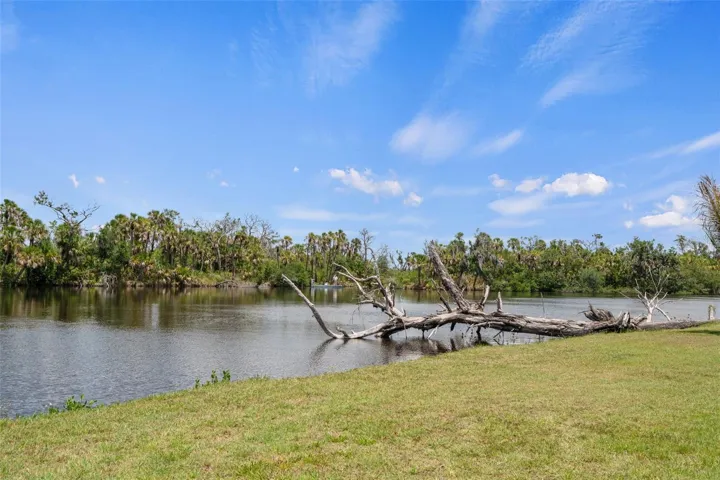 Tranquil Manatee River