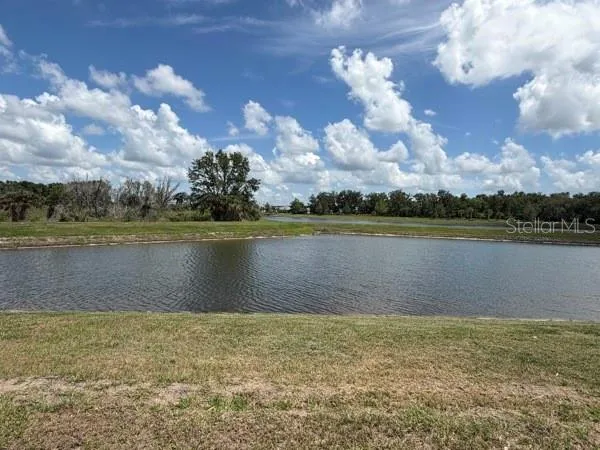 Pond View