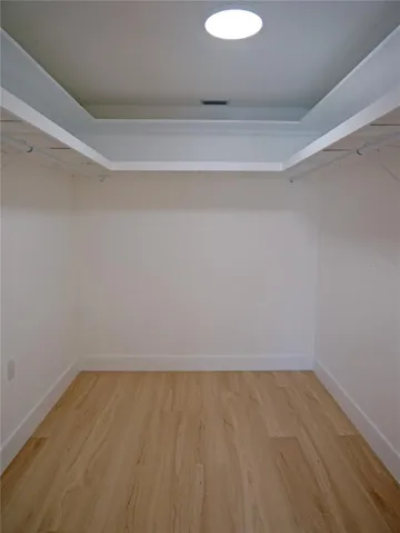 Primary Walk-in Closet #1