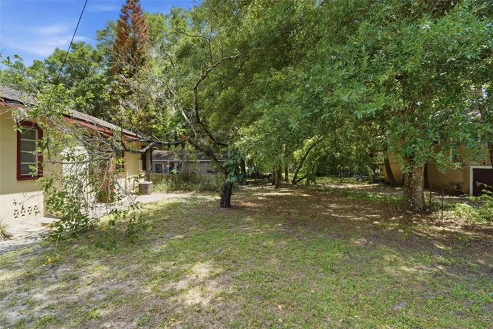 BACK YARD