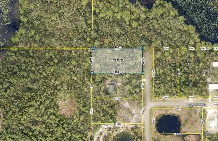 1 acre