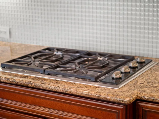 Propane Gas Stove
