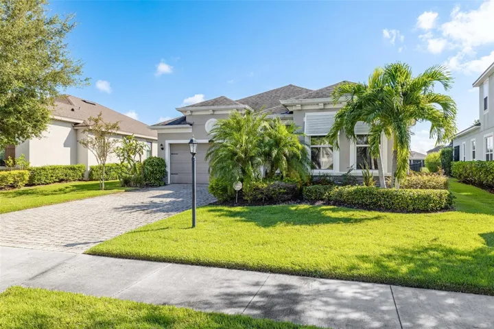Tropical Landscaping