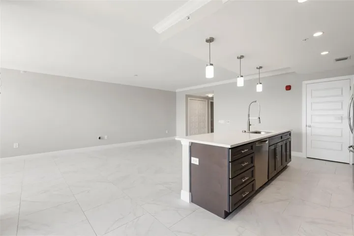 Open Living Space and Kitchen
