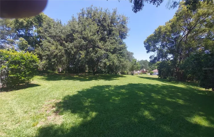 Rear yard
