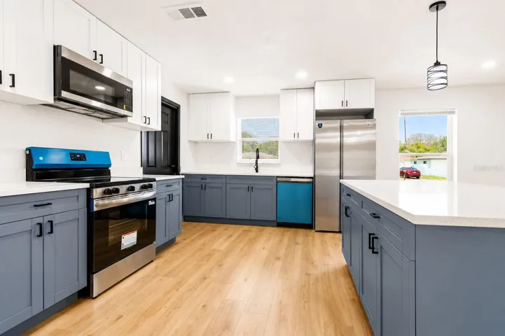 Fully renovated kitchen