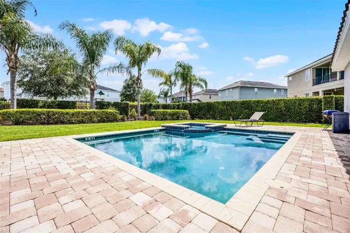 Pool & Patio
