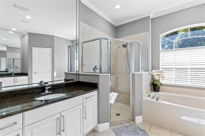Master Bathroom Alt View