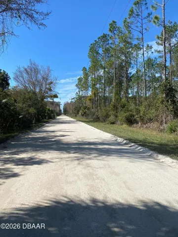 Road view