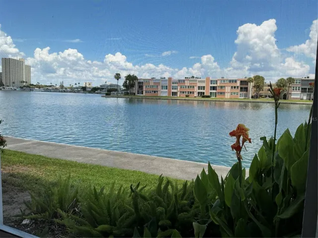 View from Back Patio