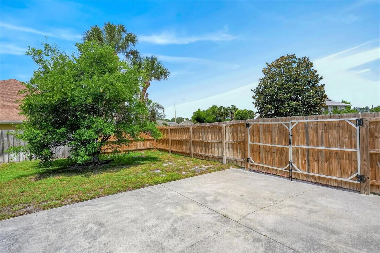Backyard