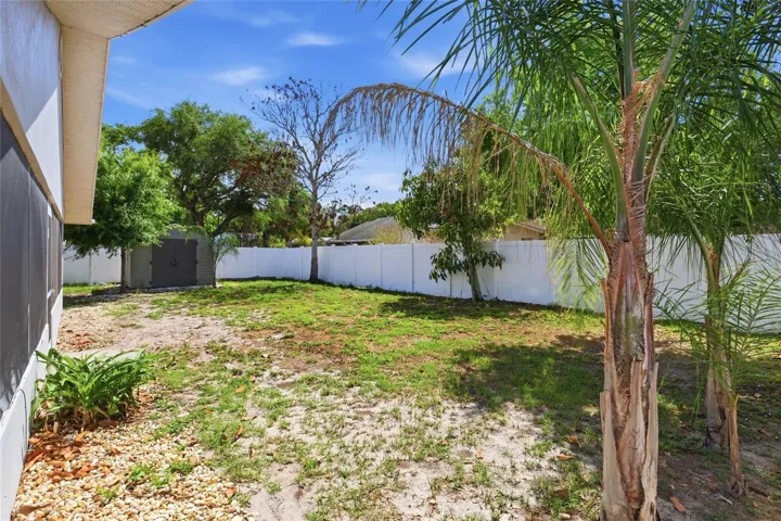 Fenced in Backyard