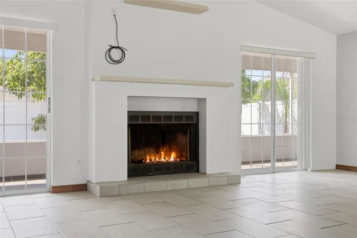 Wood Burning Fireplace