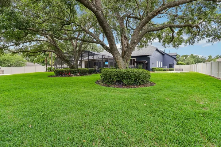 MAJESTIC OAK SHADED BACK YARD