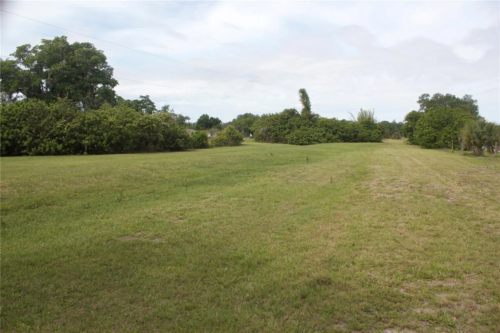 Back of property - great for animals or additional building.