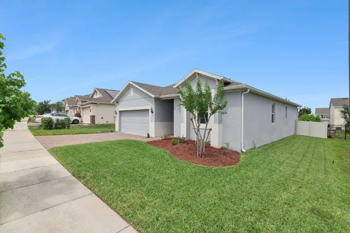 Front Yard