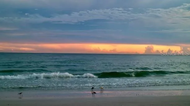 Anna Maria Island