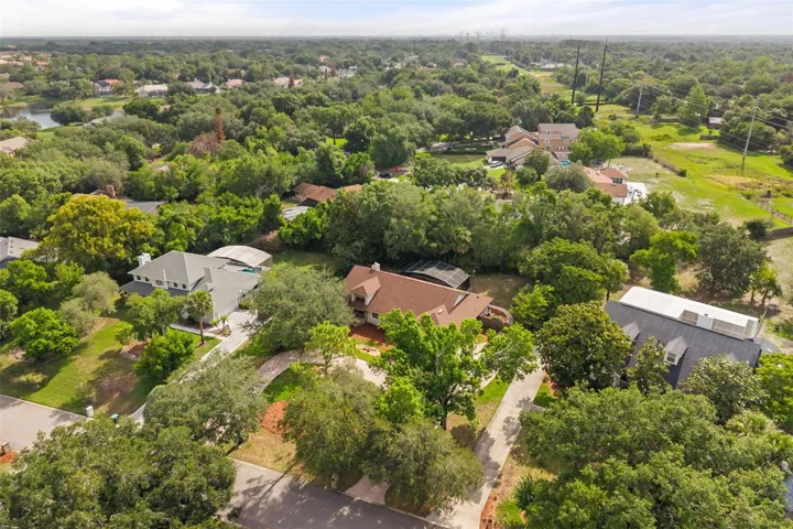 Wooded lot