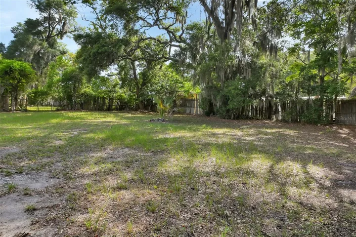 Back yard