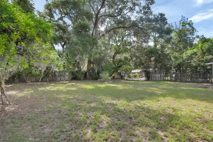Back Yard