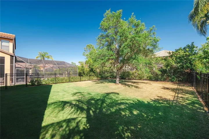 Fenced Back Yard