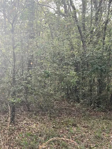 Vacant Land-Rear