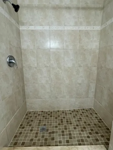 MASTER BATH STEP-IN SHOWER