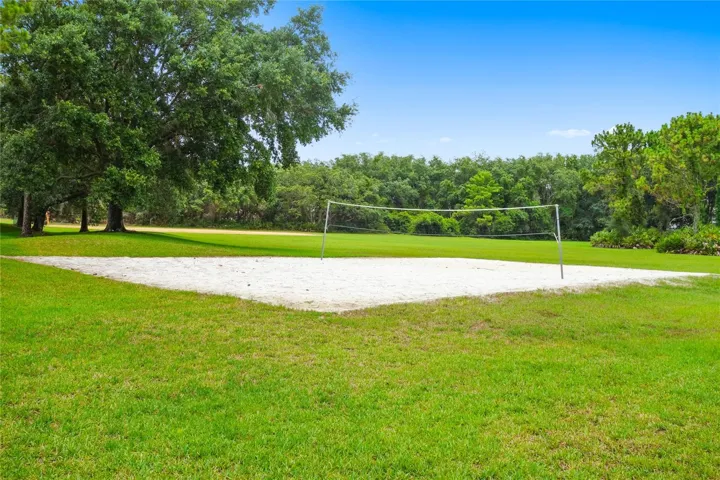 Volleyball