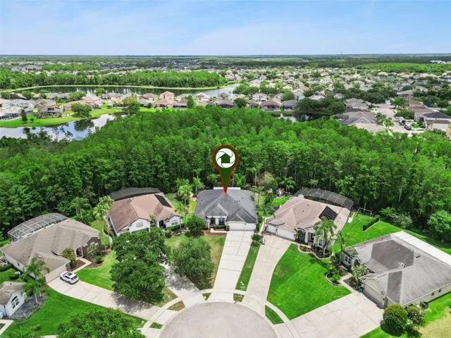 Drone view