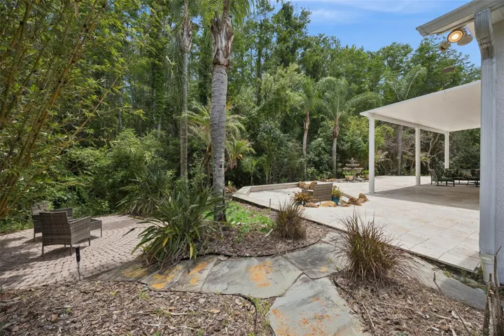 Backyard and Conservation