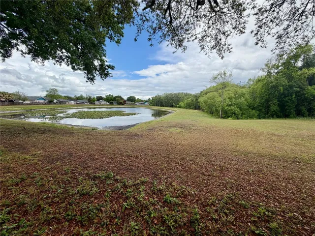 View from the back porch