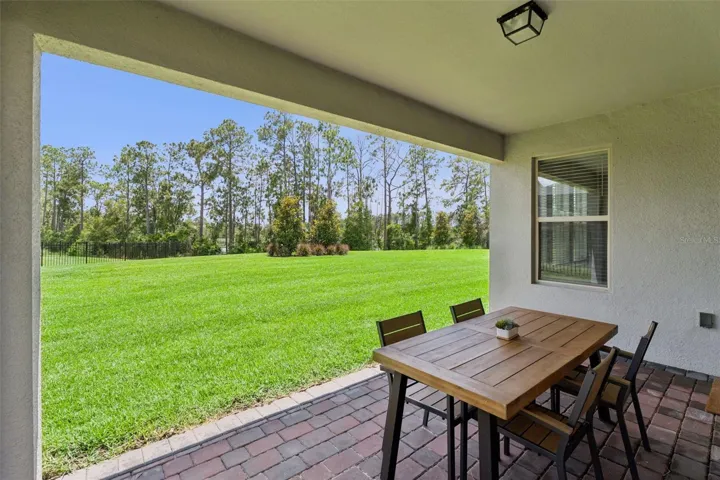 Patio, Back yard and pond view