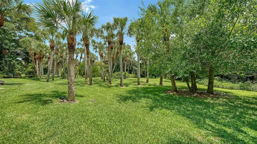 Rear yard privacy.