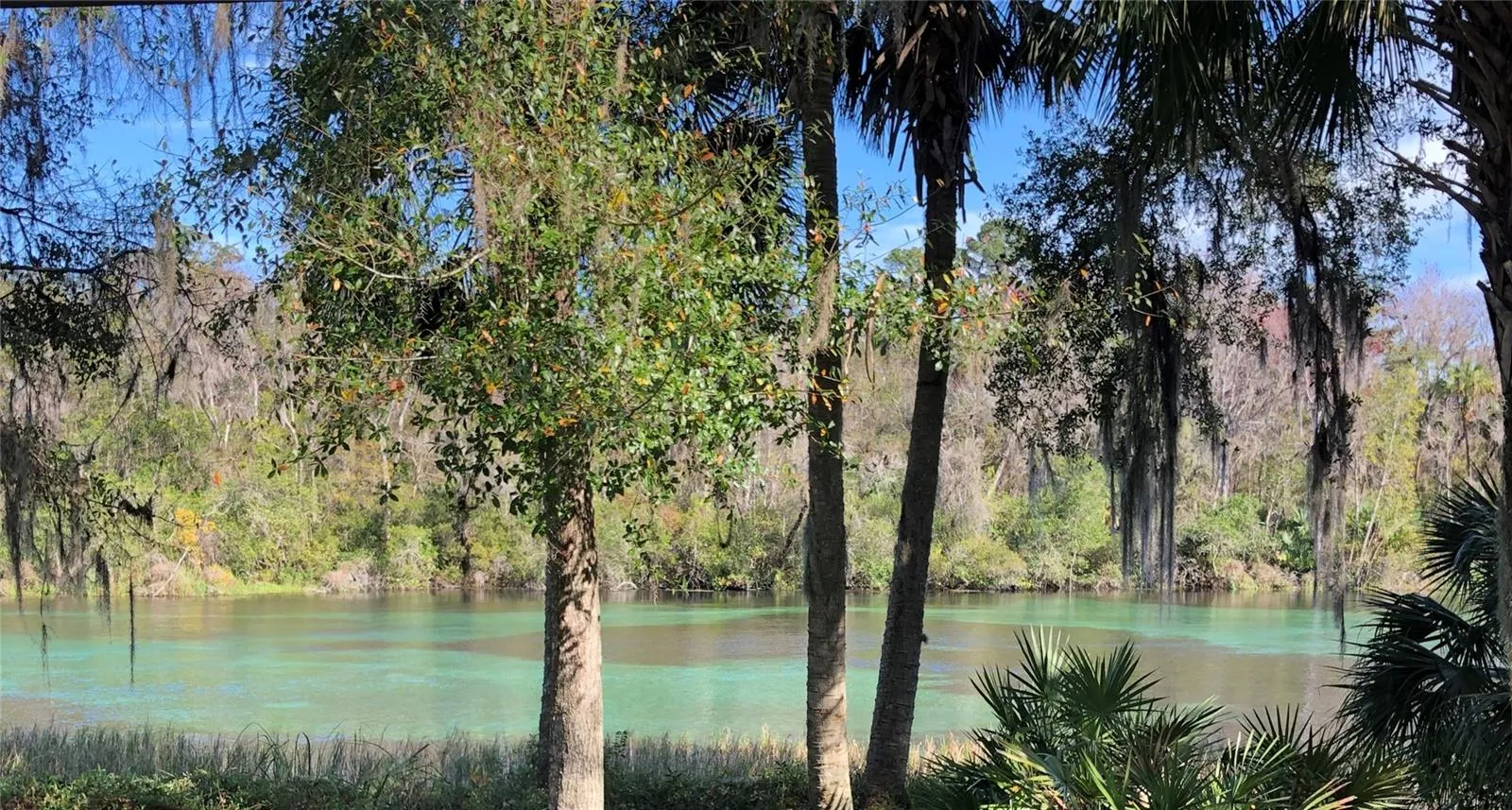 Rainbow River State Park 8-10 minutes from this home