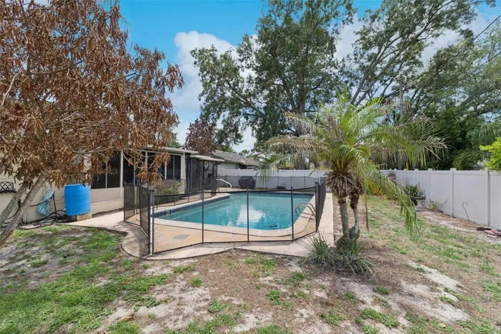 Pool & Backyard