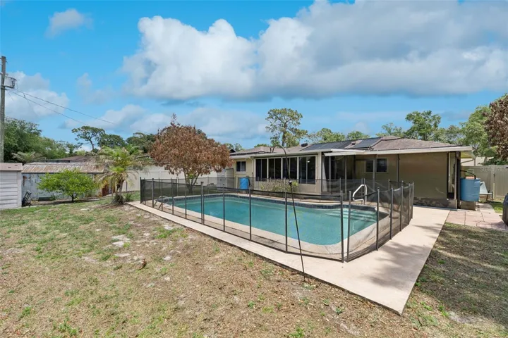 Pool & Backyard