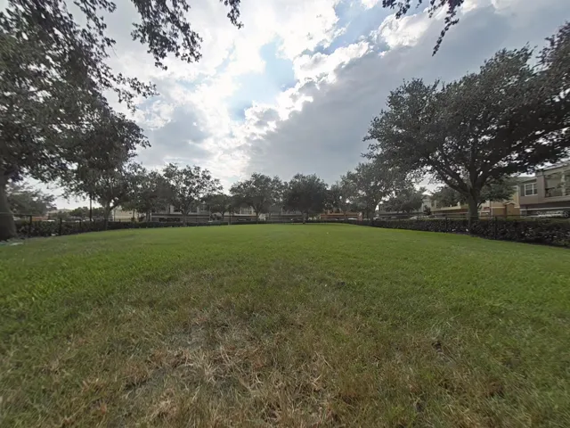 Dog Run area