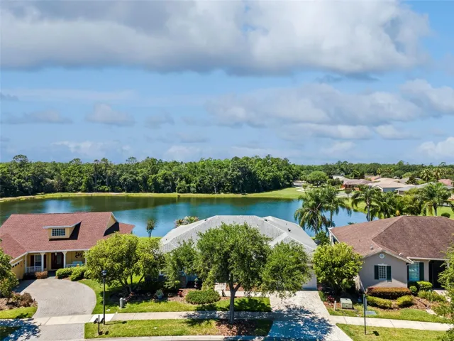 Aerial Views