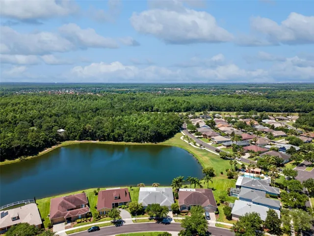 Aerial Views