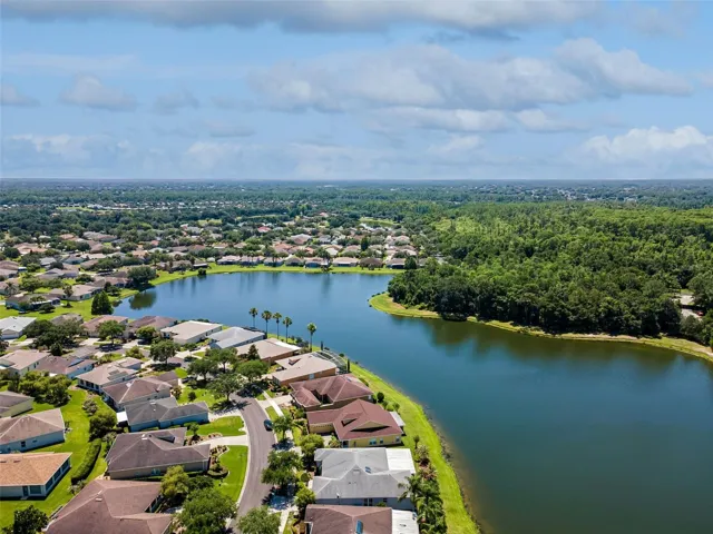 Aerial Views