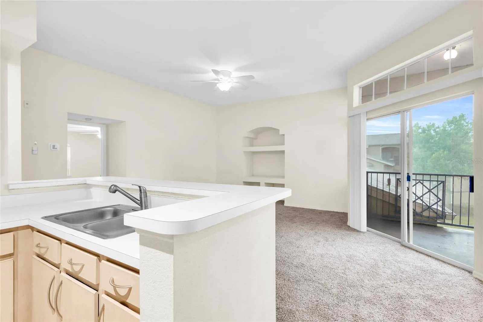 Kitchen and living