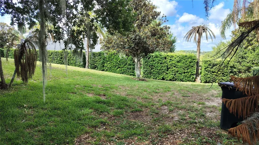 Back yard