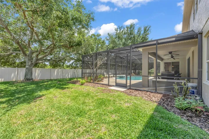 Left side of the house/pool