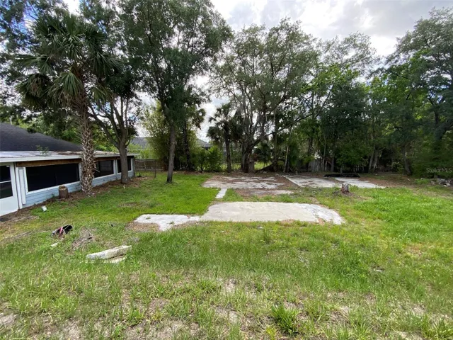 Back Yard