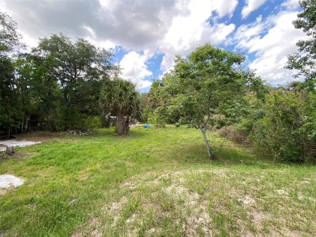 Back looking to rear fence line to the north