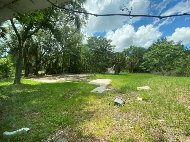Rear Yard