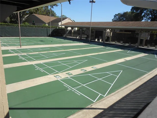 Shuffleboard