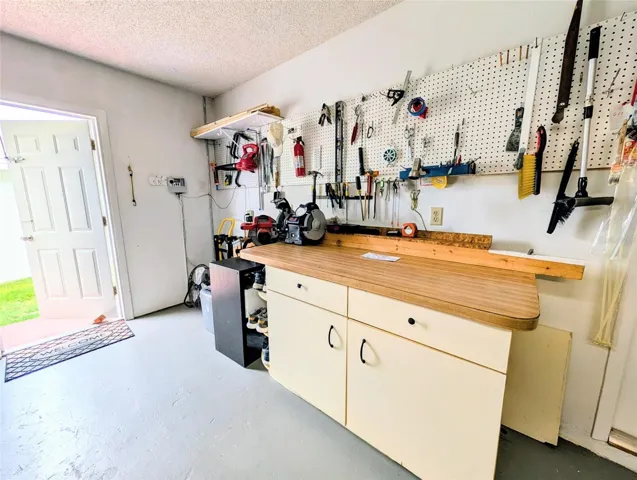 Pedestrian garage door