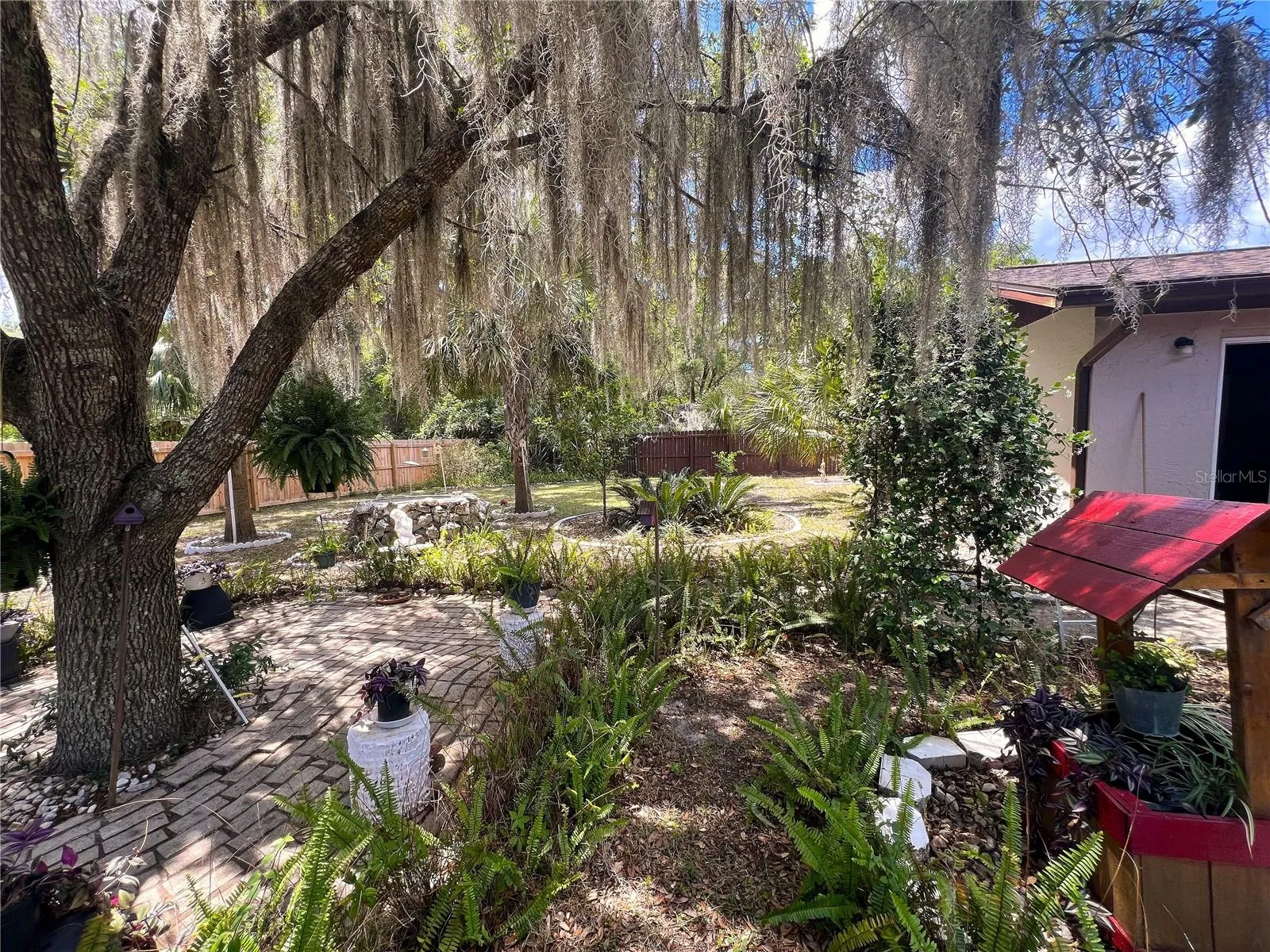 Back Yard