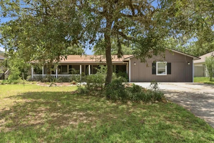 Mature oak trees and fruit trees on the property